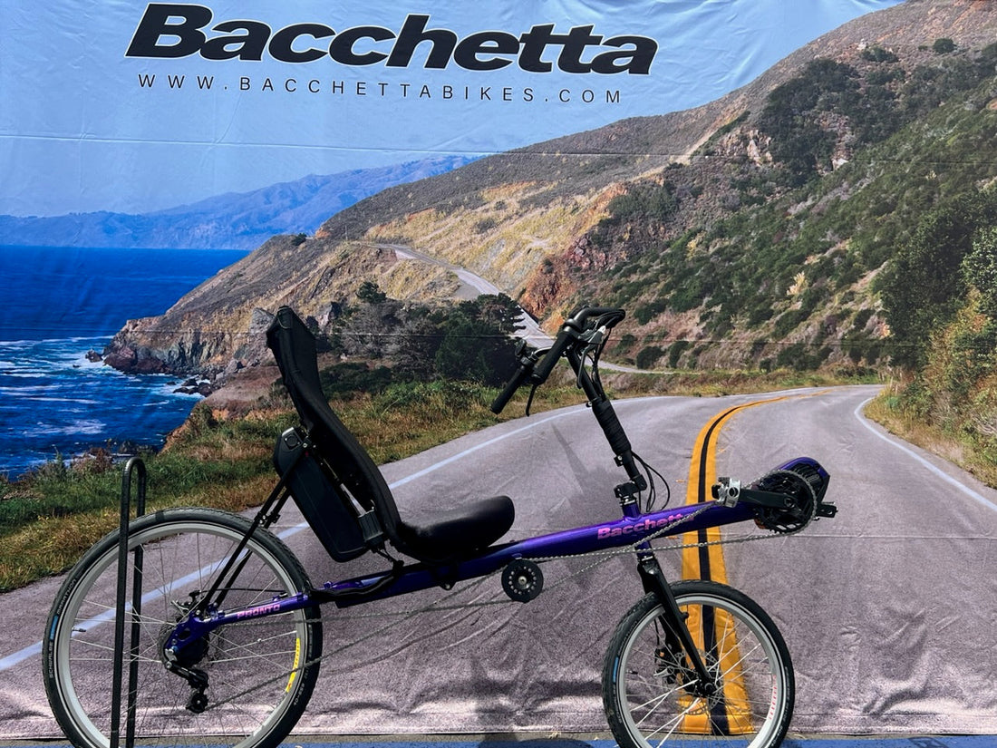 Bacchetta Pronto Recumbent