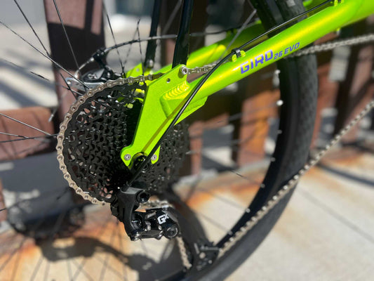 Bacchetta Giro 26 Evo Custom Recumbent