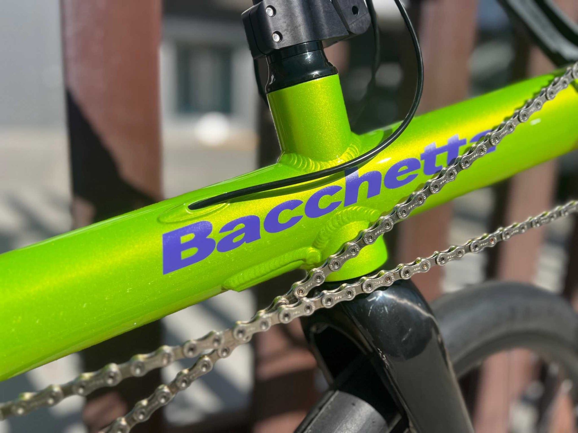 Bacchetta Giro 26 Evo Custom Recumbent
