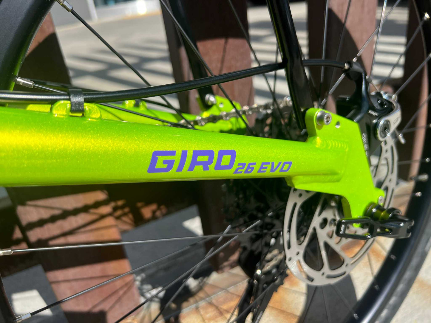 Bacchetta Giro 26 Evo Custom Recumbent