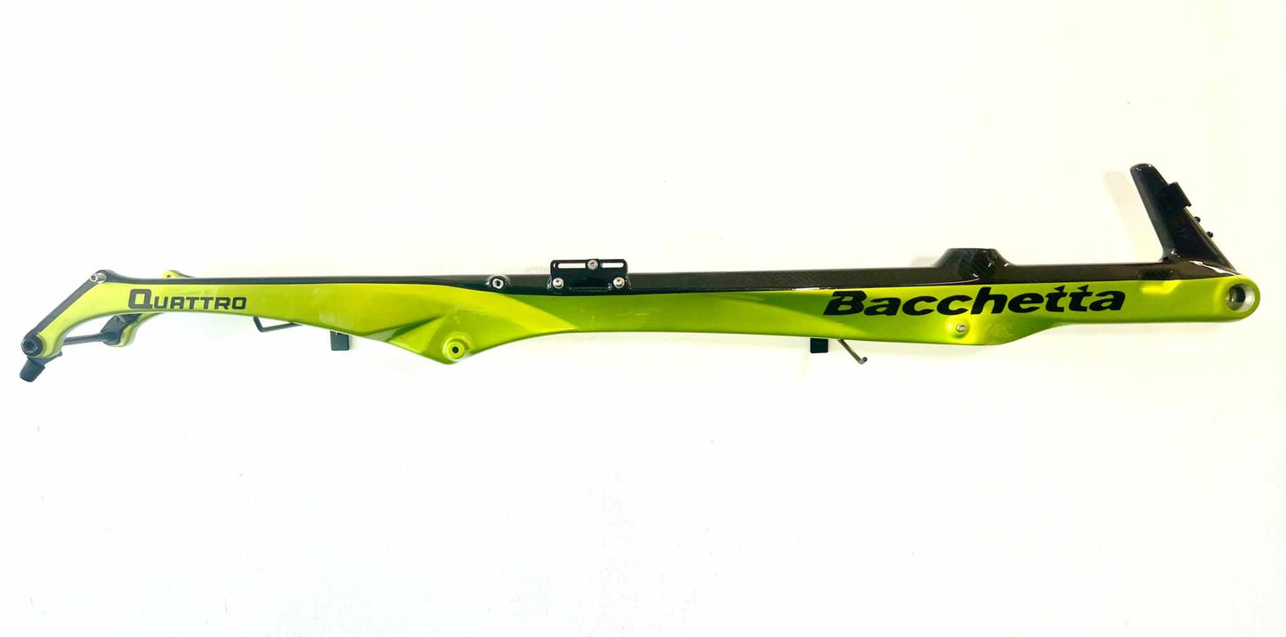 Bacchetta Quattro AXS Custom Recumbent