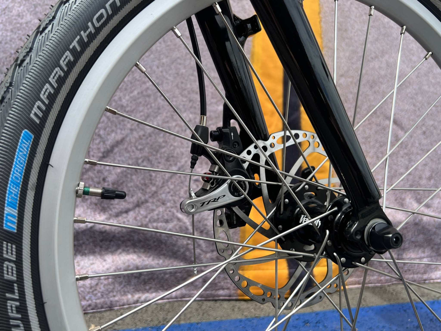 Bacchetta Marathon Wheel
