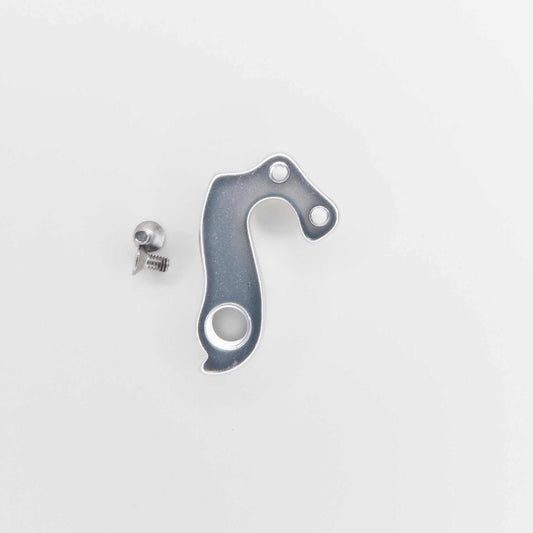 Bacchetta derailleur hanger