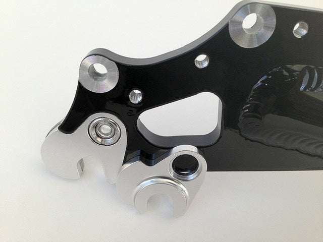 Bacchetta derailleur hanger 3