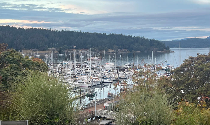 Friday Harbor