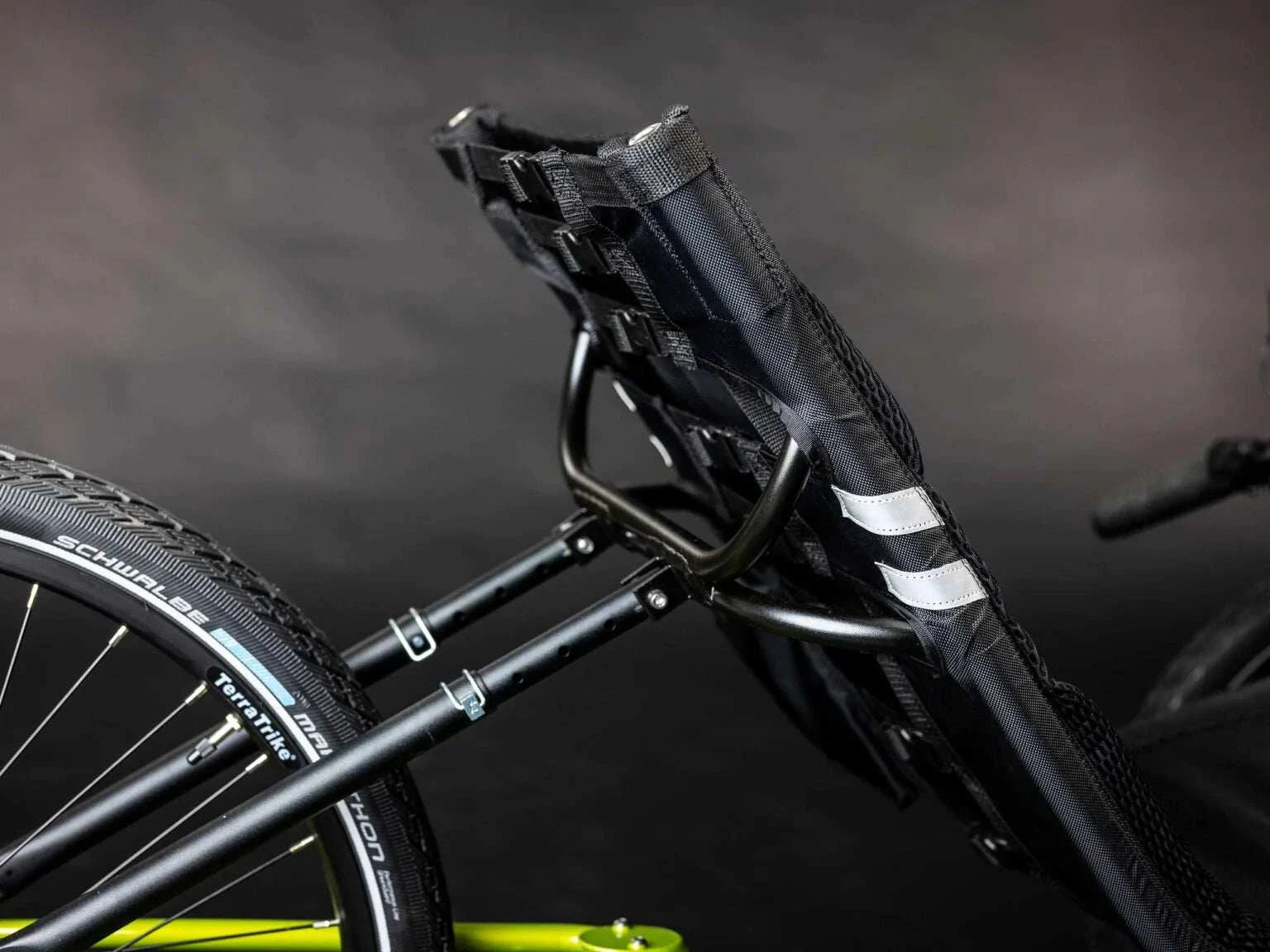 Terratrike EVO features the Bosch Performance Line Cruise motor Bacchetta Bikes