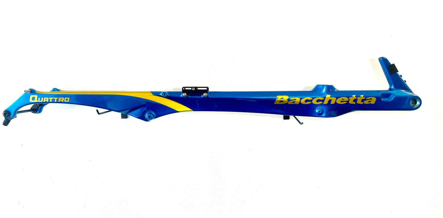 Bacchetta Quattro AXS Custom Recumbent