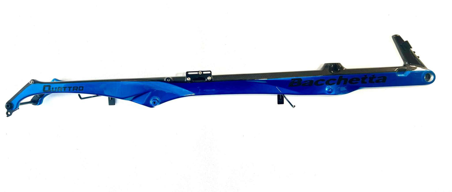 Bacchetta Quattro AXS Custom Recumbent