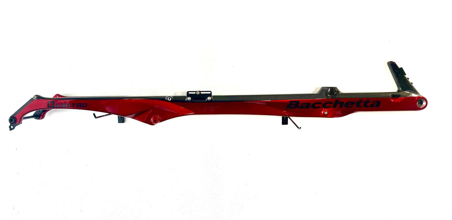 Bacchetta Quattro AXS Custom Recumbent