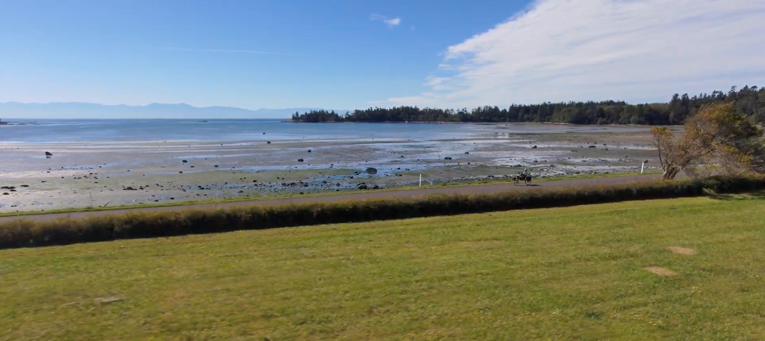 Orcas Island